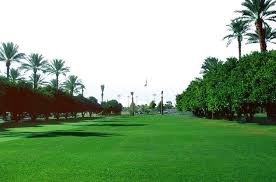 贝博艾佛森 四川城市绿化设计规范