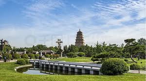 贝博艾佛森 四季草坪基地绿化工程