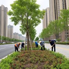 BB贝博艾弗森官网 十堰城市园林绿化工程招标